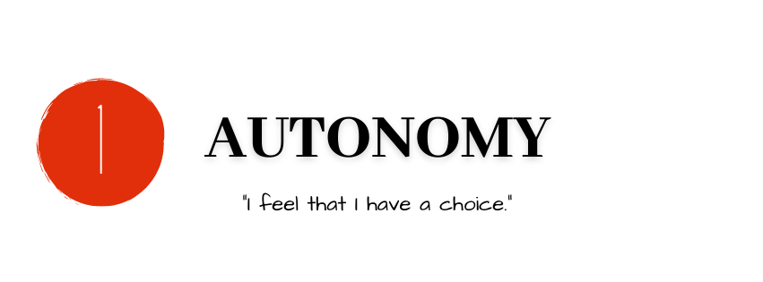 Number One: Autonomy: I feel that I have a choice. 